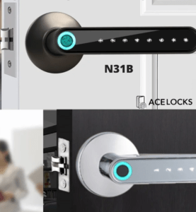 CERRADURA INTELIGENTE N31B